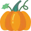 Pumpkin icon 64x64