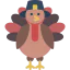 Turkey icon 64x64