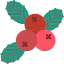 Berries icon 64x64