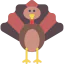 Turkey icon 64x64