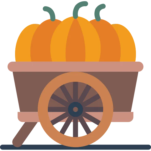 Squash icon