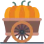 Squash icon 64x64