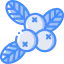Berries icon 64x64