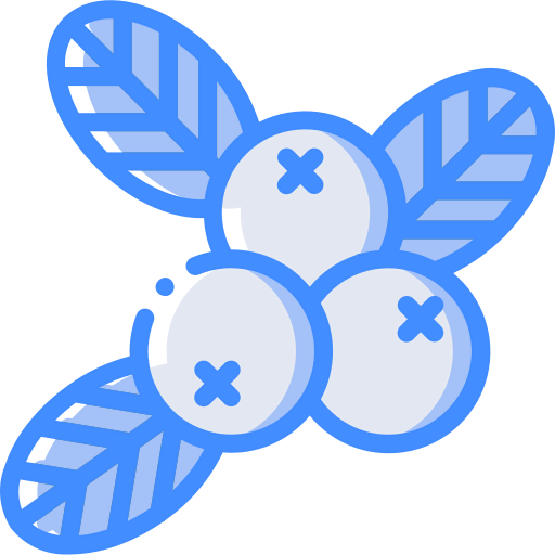 Berries icon