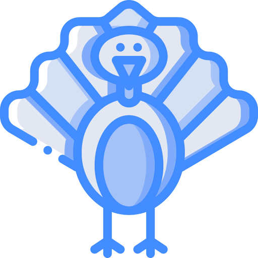Turkey icon