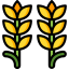 Wheat icon 64x64