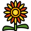 Sunflower icon 64x64