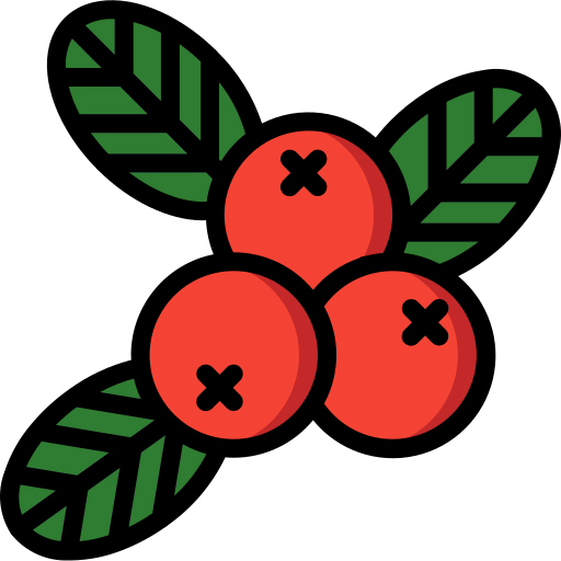 Berries icon
