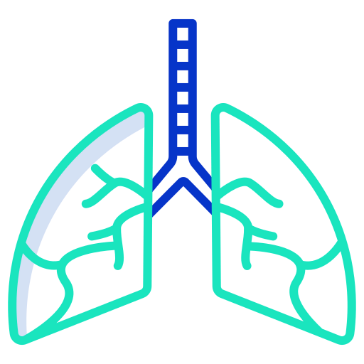 Lung icon