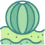Beach ball icon 64x64
