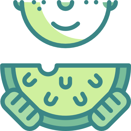 Watermelon icon