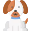 Pet icon 64x64