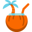 Coconut icon 64x64
