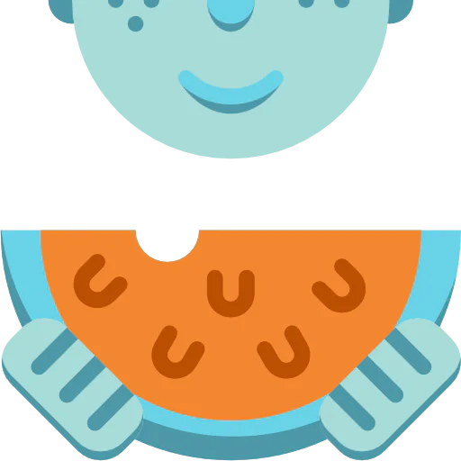 Watermelon icon