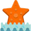 Starfish icon 64x64