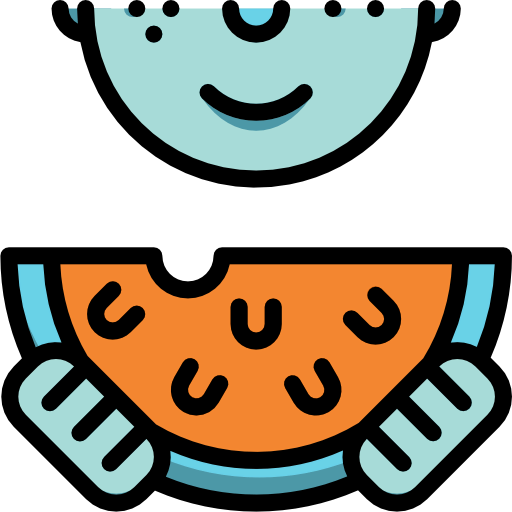Watermelon icon