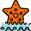 Starfish icon 64x64