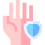 Protected icon 64x64