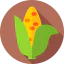 Corn icon 64x64