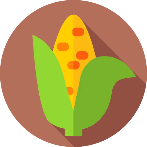 Corn icon