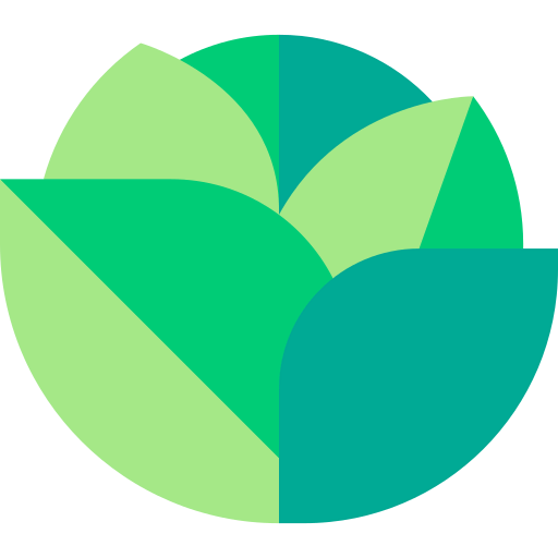 Lettuce icon
