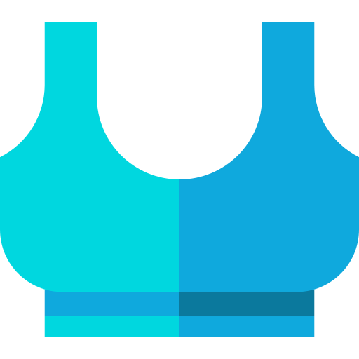 Bra icon