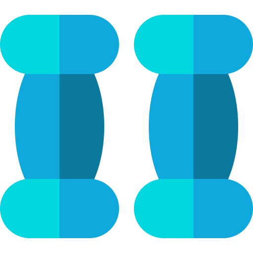 Weights icon