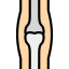 Osteoporosis icon 64x64