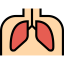 Lungs icon 64x64
