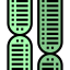 Dna icon 64x64