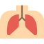 Lungs icon 64x64