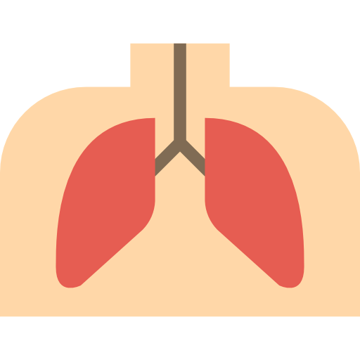 Lungs icon