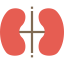 Kidney icon 64x64