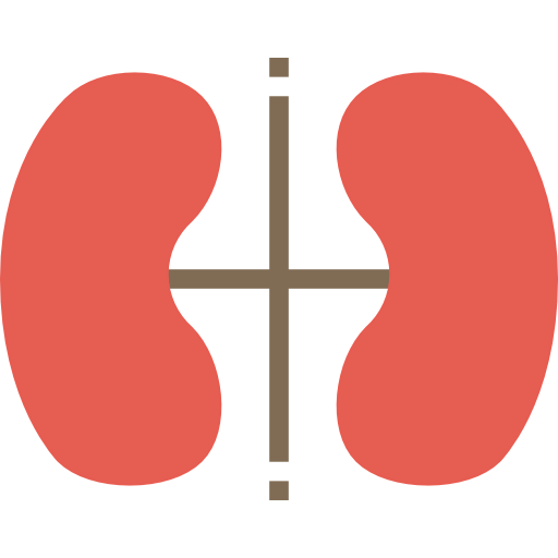 Kidney icon