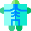 X ray Symbol 64x64