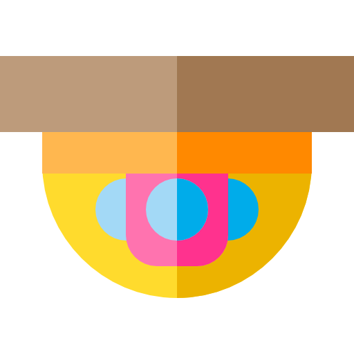 Security camera icon