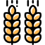 Crop icon 64x64