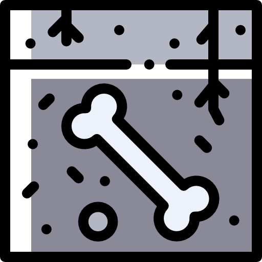 Fossil icon