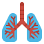 Lungs icon 64x64