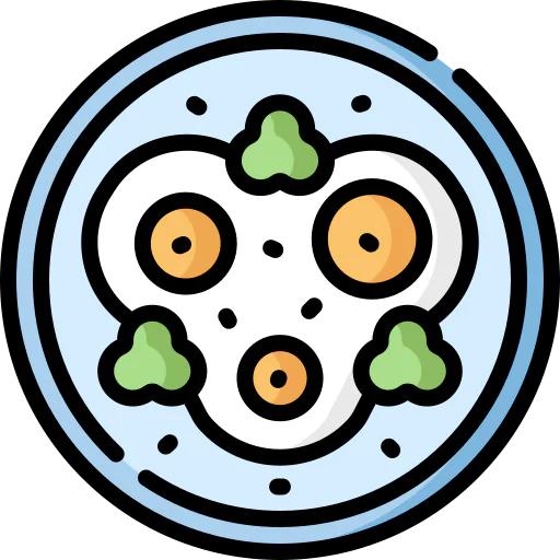 Fried eggs icon