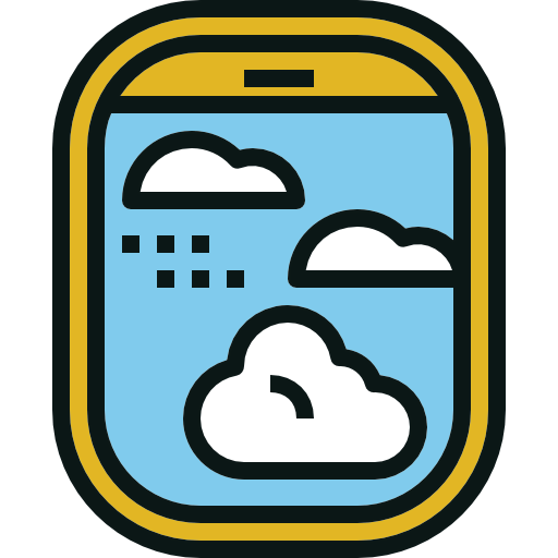 Window icon
