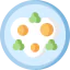 Fried eggs icône 64x64