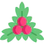 Mistletoe icon 64x64