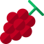 Grapes icon 64x64