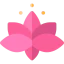 Lotus flower icon 64x64