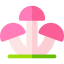 Fungi icon 64x64