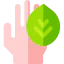 Natural product icon 64x64