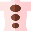 Lithotherapie icon 64x64