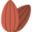 Almond icon 64x64