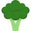 Broccoli icon 64x64